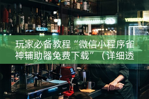 玩家必备教程“微信小程序雀神辅助器免费下载”（详细透视教程）-哔哩哔哩