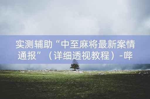 实测辅助“中至麻将最新案情通报”（详细透视教程）-哔哩哔哩
