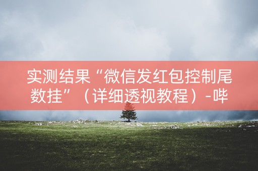 实测结果“微信发红包控制尾数挂”（详细透视教程）-哔哩哔哩