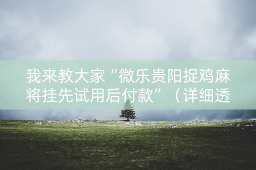我来教大家“微乐贵阳捉鸡麻将挂先试用后付款”（详细透视教程）-哔哩哔哩