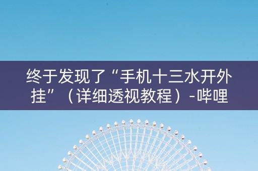 终于发现了“手机十三水开外挂”（详细透视教程）-哔哩哔哩