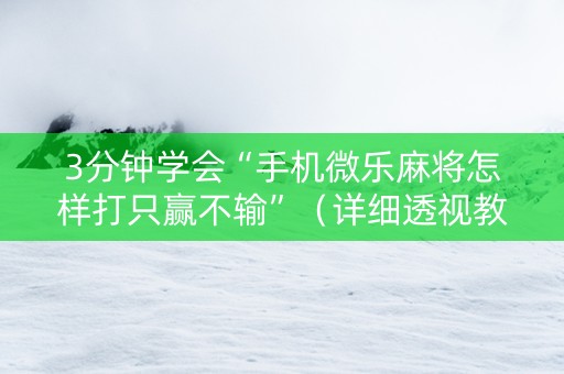 3分钟学会“手机微乐麻将怎样打只赢不输”（详细透视教程）-哔哩哔哩
