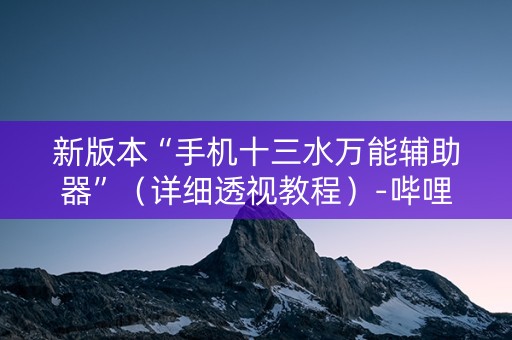 新版本“手机十三水万能辅助器”（详细透视教程）-哔哩哔哩