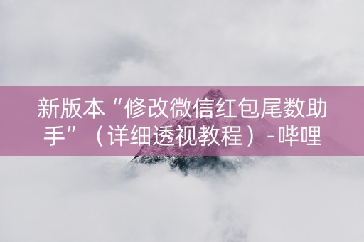 新版本“修改微信红包尾数助手”（详细透视教程）-哔哩哔哩