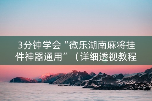 3分钟学会“微乐湖南麻将挂件神器通用”（详细透视教程）-哔哩哔哩