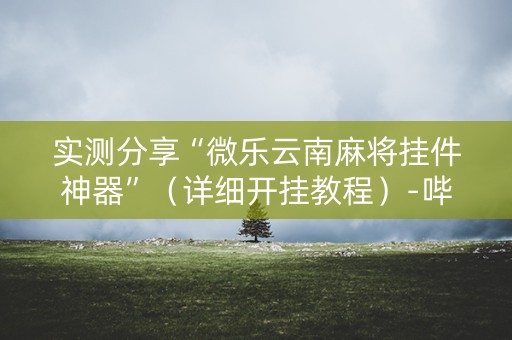 实测分享“微乐云南麻将挂件神器”（详细开挂教程）-哔哩哔哩