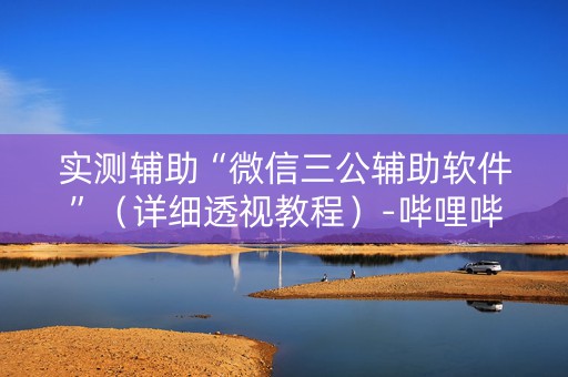 实测辅助“微信三公辅助软件”（详细透视教程）-哔哩哔哩