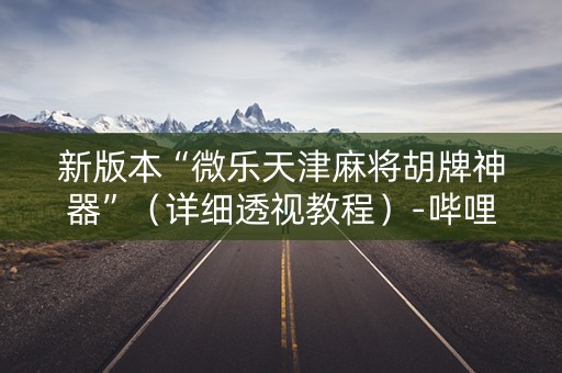 新版本“微乐天津麻将胡牌神器”（详细透视教程）-哔哩哔哩