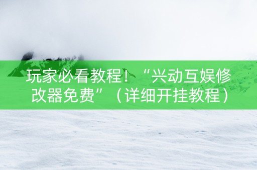 玩家必看教程！“兴动互娱修改器免费”（详细开挂教程）-哔哩哔哩