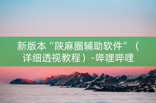 新版本“陕麻圈辅助软件”（详细透视教程）-哔哩哔哩