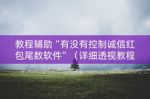 教程辅助“有没有控制诚信红包尾数软件”（详细透视教程）-哔哩哔哩