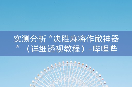 实测分析“决胜麻将作敝神器”（详细透视教程）-哔哩哔哩