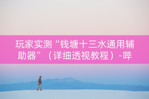 玩家实测“钱塘十三水通用辅助器”（详细透视教程）-哔哩哔哩