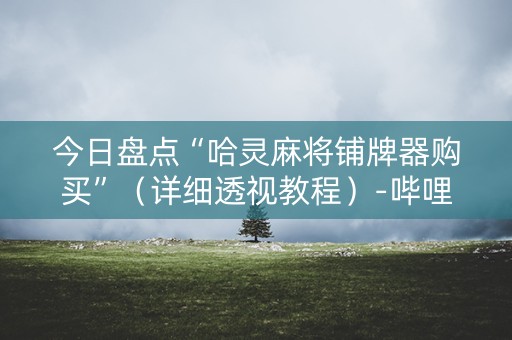 今日盘点“哈灵麻将铺牌器购买”（详细透视教程）-哔哩哔哩