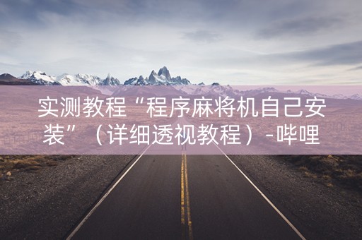 实测教程“程序麻将机自己安装”（详细透视教程）-哔哩哔哩