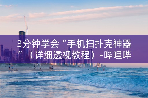 3分钟学会“手机扫扑克神器”（详细透视教程）-哔哩哔哩