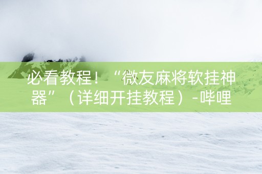 必看教程！“微友麻将软挂神器”（详细开挂教程）-哔哩哔哩