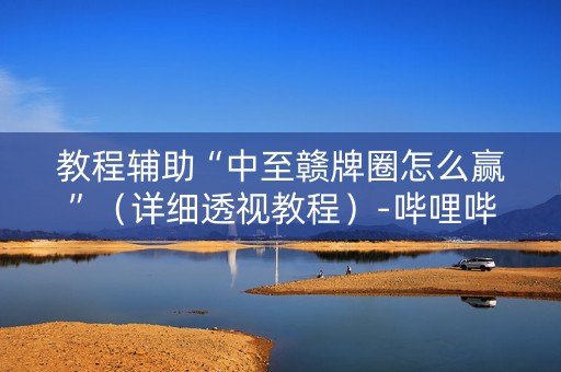 教程辅助“中至赣牌圈怎么赢”（详细透视教程）-哔哩哔哩