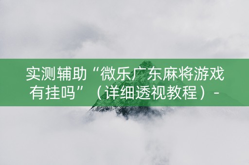 实测辅助“微乐广东麻将游戏有挂吗”（详细透视教程）-哔哩哔哩
