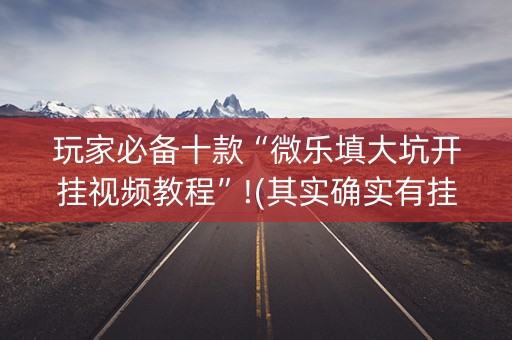 玩家必备十款“微乐填大坑开挂视频教程”!(其实确实有挂)-知乎