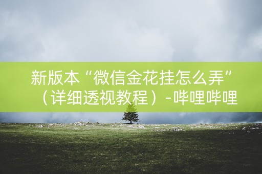 新版本“微信金花挂怎么弄”（详细透视教程）-哔哩哔哩