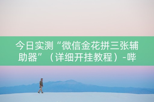 今日实测“微信金花拼三张辅助器”（详细开挂教程）-哔哩哔哩