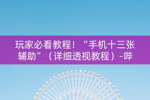 玩家必看教程！“手机十三张辅助”（详细透视教程）-哔哩哔哩
