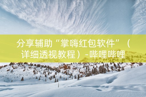 分享辅助“掌嗨红包软件”（详细透视教程）-哔哩哔哩
