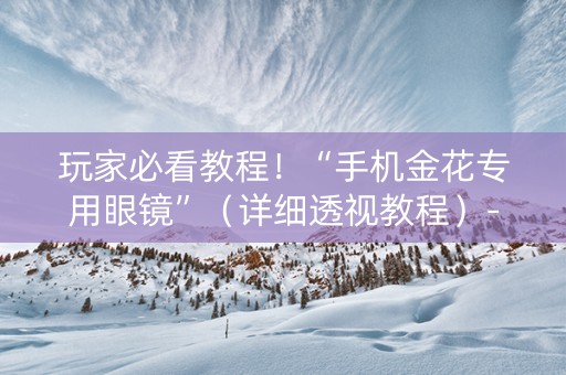 玩家必看教程！“手机金花专用眼镜”（详细透视教程）-哔哩哔哩