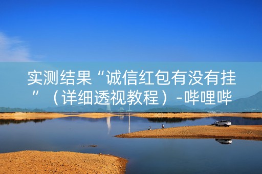 实测结果“诚信红包有没有挂”（详细透视教程）-哔哩哔哩