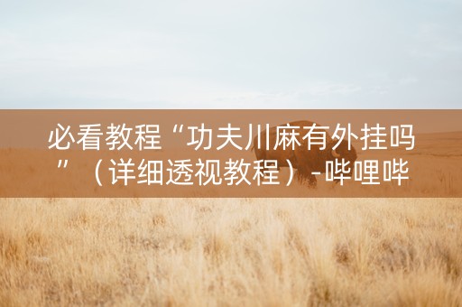必看教程“功夫川麻有外挂吗”（详细透视教程）-哔哩哔哩