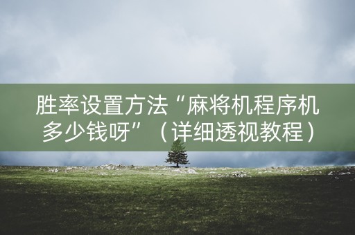 胜率设置方法“麻将机程序机多少钱呀”（详细透视教程）-哔哩哔哩