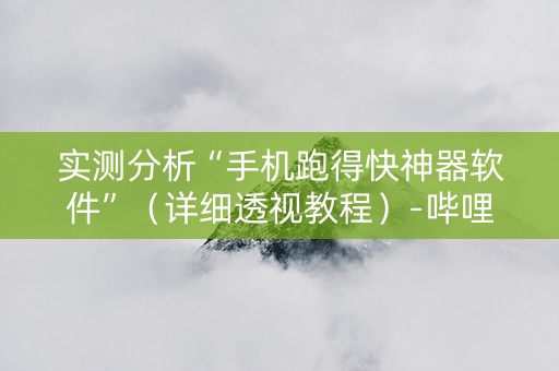 实测分析“手机跑得快神器软件”（详细透视教程）-哔哩哔哩