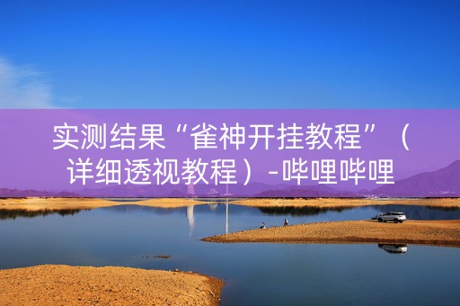实测结果“雀神开挂教程”（详细透视教程）-哔哩哔哩
