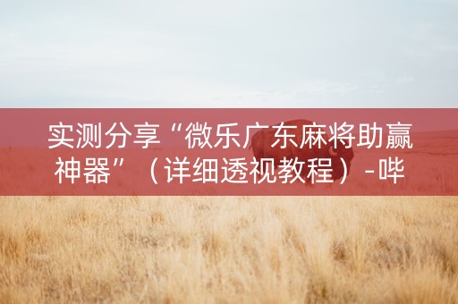 实测分享“微乐广东麻将助赢神器”（详细透视教程）-哔哩哔哩