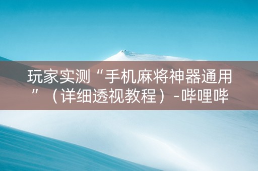 玩家实测“手机麻将神器通用”（详细透视教程）-哔哩哔哩