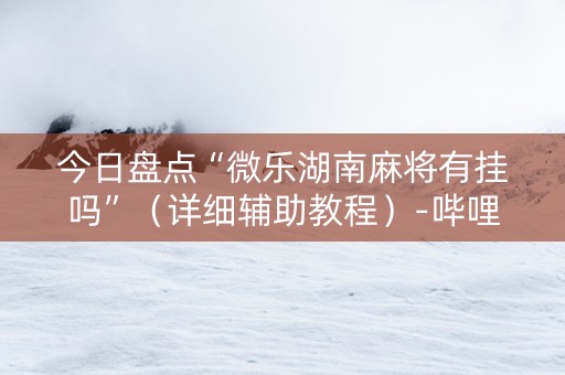 今日盘点“微乐湖南麻将有挂吗”（详细辅助教程）-哔哩哔哩