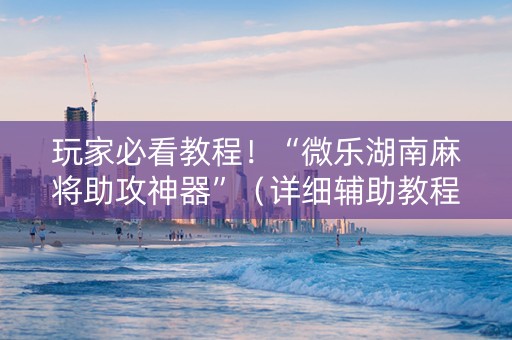 玩家必看教程！“微乐湖南麻将助攻神器”（详细辅助教程）-哔哩哔哩