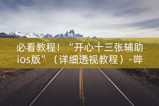 必看教程！“开心十三张辅助ios版”（详细透视教程）-哔哩哔哩