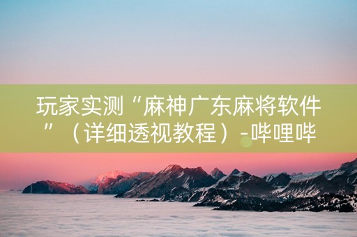 玩家实测“麻神广东麻将软件”（详细透视教程）-哔哩哔哩