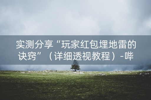 实测分享“玩家红包埋地雷的诀窍”（详细透视教程）-哔哩哔哩