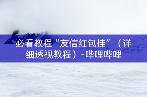 必看教程“友信红包挂”（详细透视教程）-哔哩哔哩