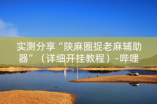 实测分享“陕麻圈捉老麻辅助器”（详细开挂教程）-哔哩哔哩
