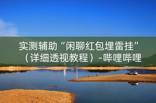 实测辅助“闲聊红包埋雷挂”（详细透视教程）-哔哩哔哩