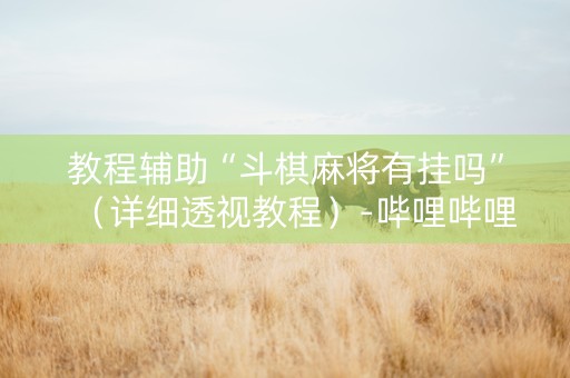 教程辅助“斗棋麻将有挂吗”（详细透视教程）-哔哩哔哩
