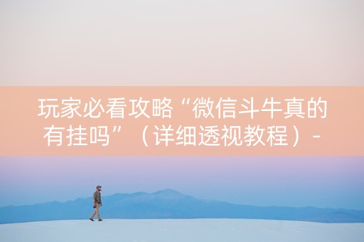 玩家必看攻略“微信斗牛真的有挂吗”（详细透视教程）-哔哩哔哩