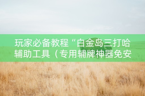 玩家必备教程“白金岛三打哈辅助工具（专用辅牌神器免安装）