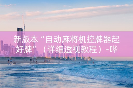 新版本“自动麻将机控牌器起好牌”（详细透视教程）-哔哩哔哩