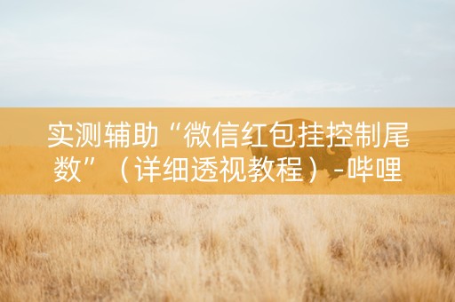 实测辅助“微信红包挂控制尾数”（详细透视教程）-哔哩哔哩