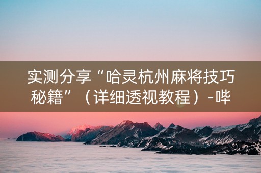 实测分享“哈灵杭州麻将技巧秘籍”（详细透视教程）-哔哩哔哩